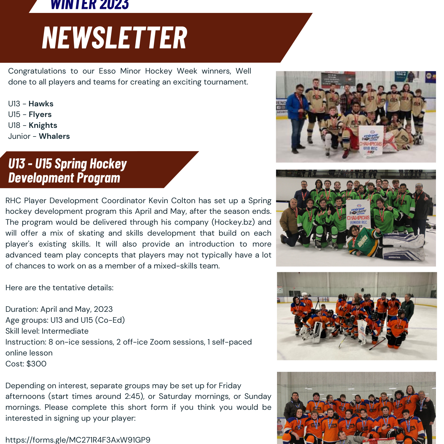 Rec Hockey Newsletter